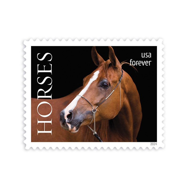 2024 Horses Stamps forever stamps