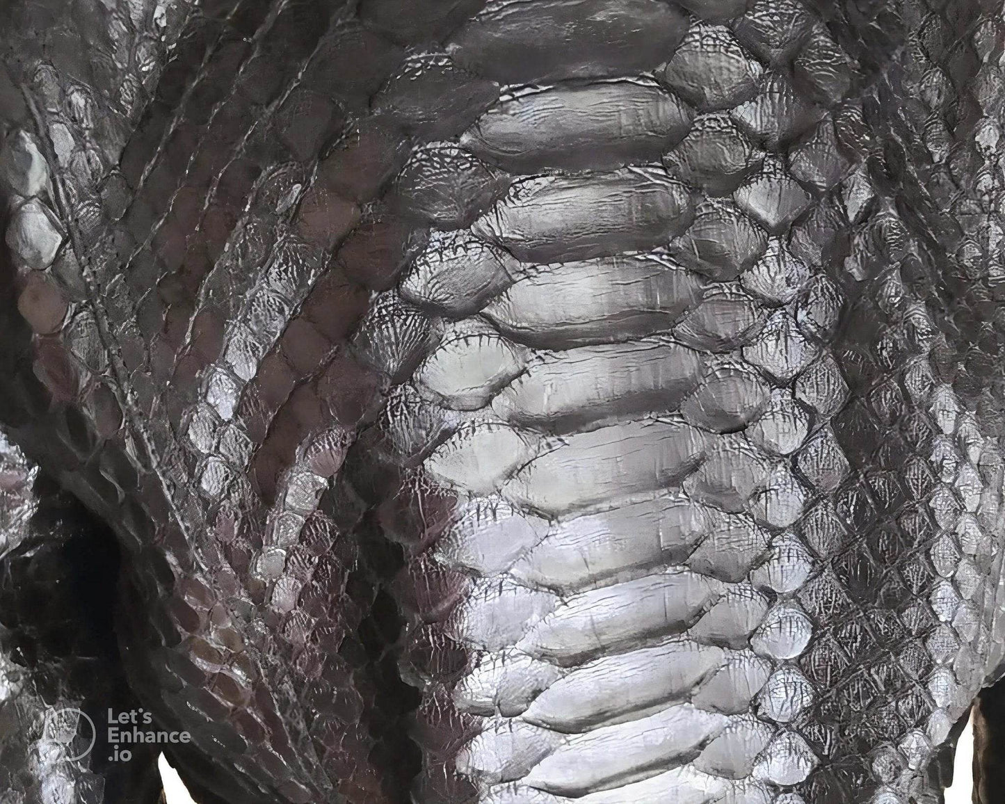 Black Python Snakeskin Leather Jacket for Women