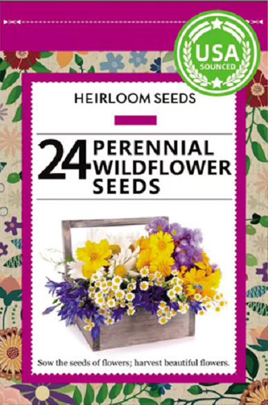 Vegetable Seed Vault Kit | 35 Variety Pack
