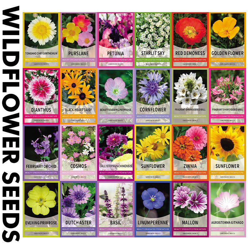Vegetable Seed Vault Kit | 35 Variety Pack