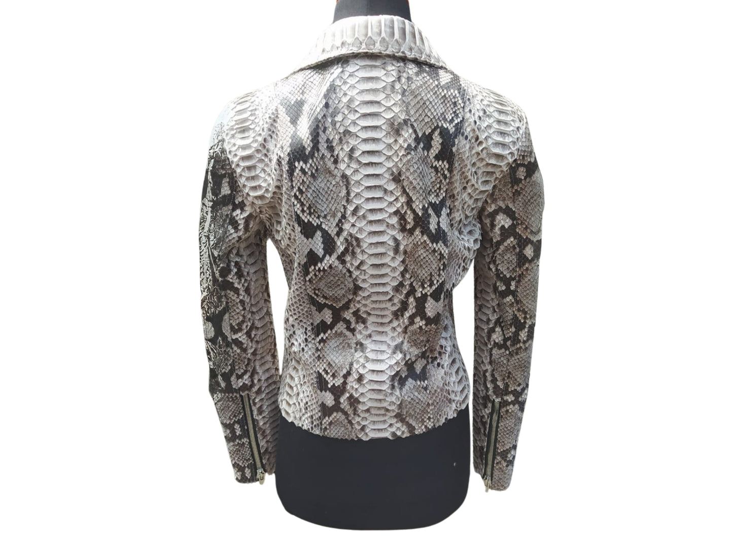 Snakeskin Biker Jacket with Belted Accent