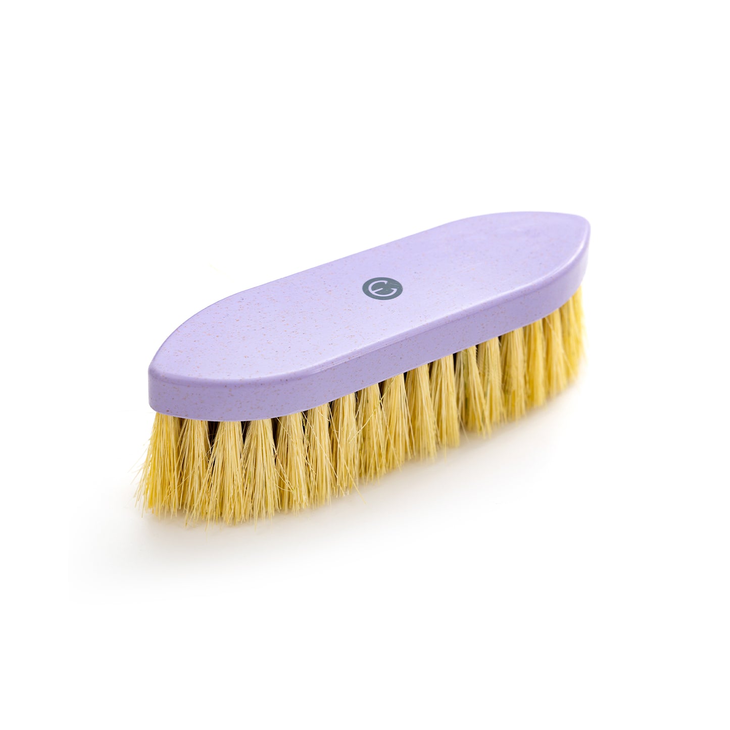 Horse Grooming Tools