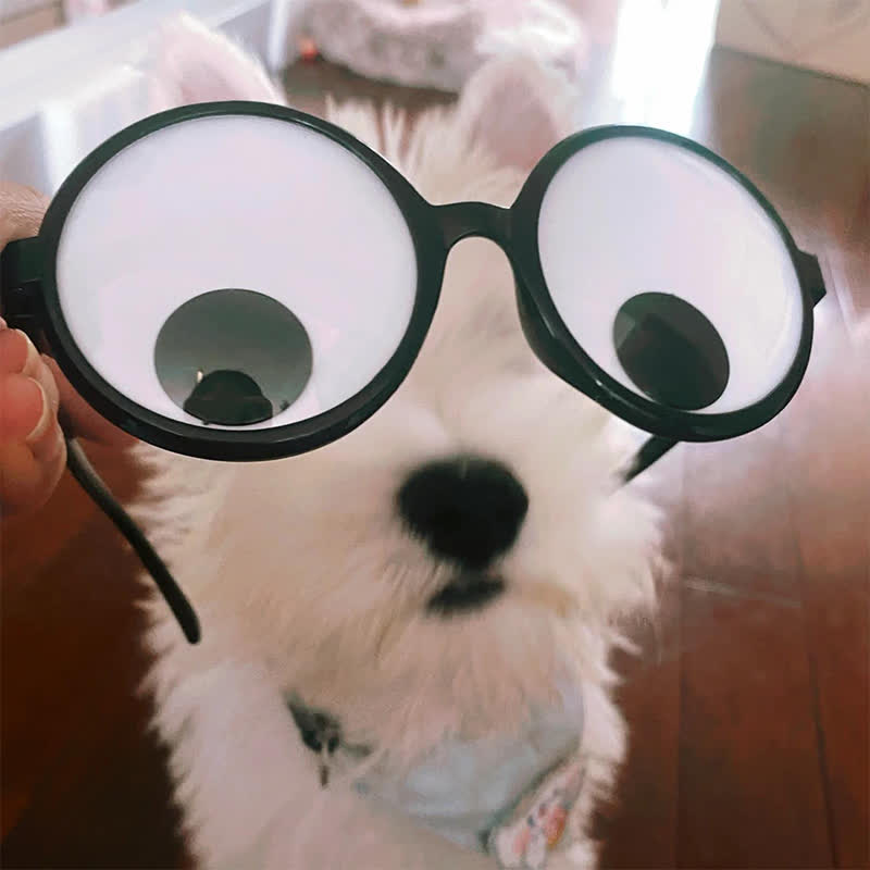 Spykay™ EG26828 Funny Googly Eyes Glasses Accessories for Halloween Party