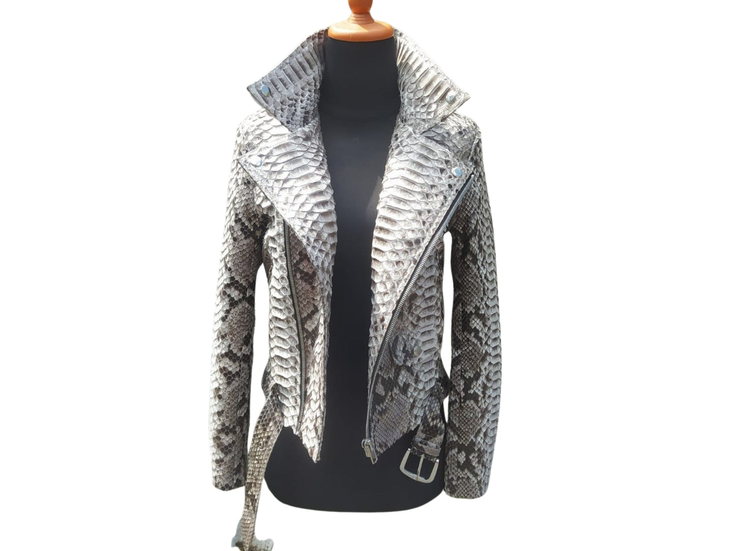 Snakeskin Biker Jacket with Belted Accent