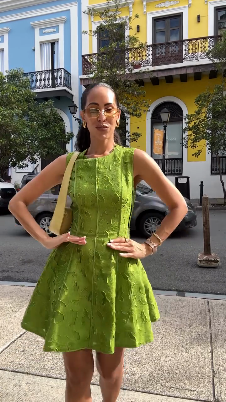 Sleeveless Green Embroidered Mini Dress