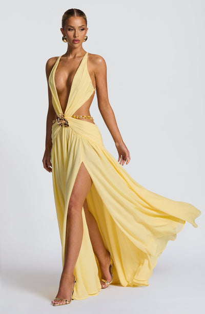 Halter V - neck Chiffon Maxi Dress