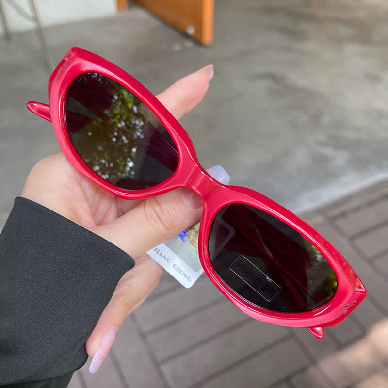 Spykay™ SG60767 Unisex Cat-Eye Fashion Sunglasses with Nylon Lense